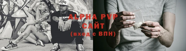 индика Горняк